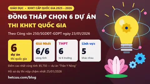 Đồng Tháp chọn 6 dự án thi KHKT cấp quốc gia 2025-2026